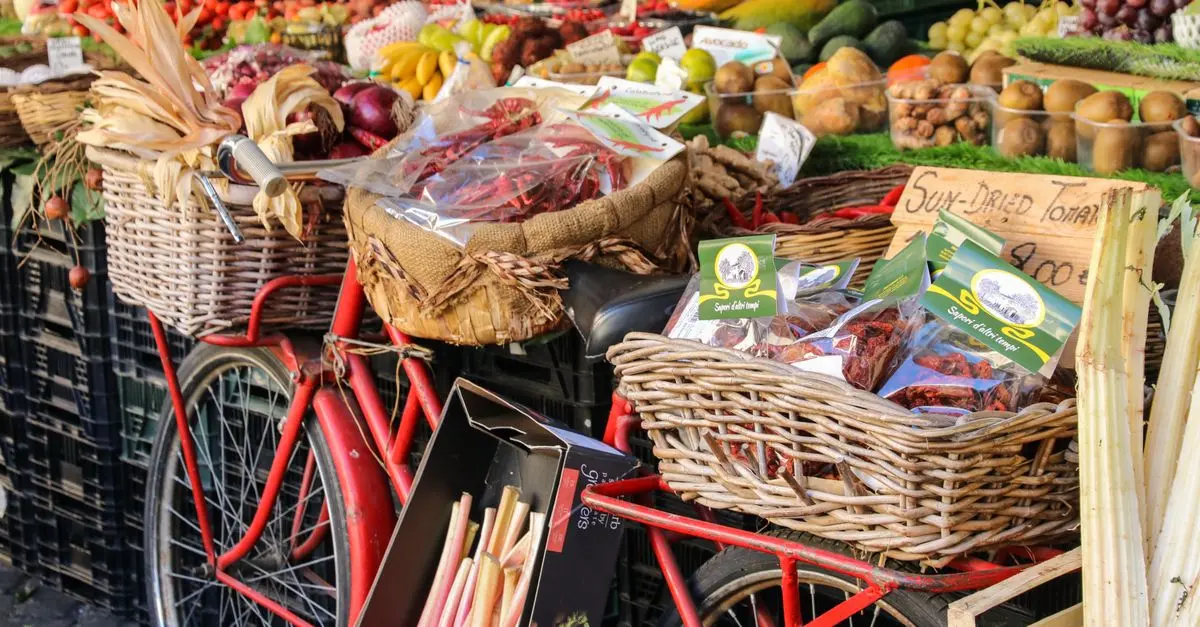 Les Meilleures Pratiques pour Voyager Écologiquement