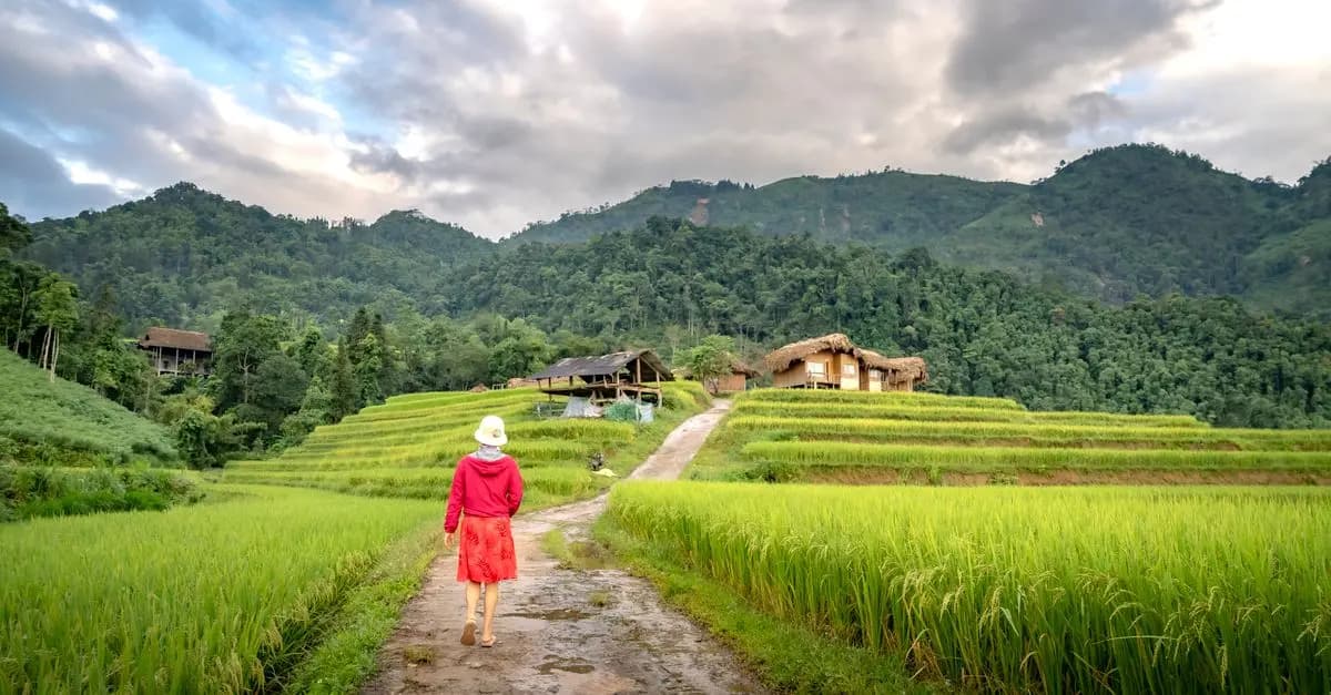 Les Meilleures Éco-Destinations à Explorer pour un Voyage Responsable