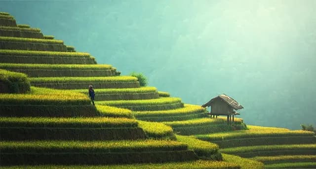 Les Avantages des Éco-Destinations pour un Voyage Durable