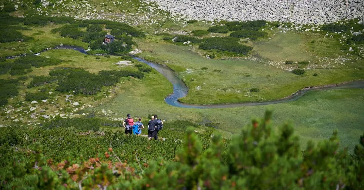 Analyse : Les Politiques Gouvernementales pour Favoriser l'Écotourisme