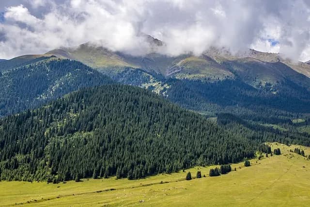 Top 10 des Éco-Destinations à Explorer Absolument