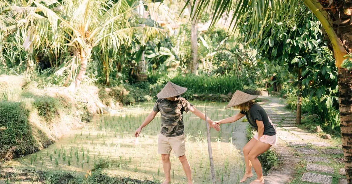 Écotourisme en Asie: Les Meilleurs Spots