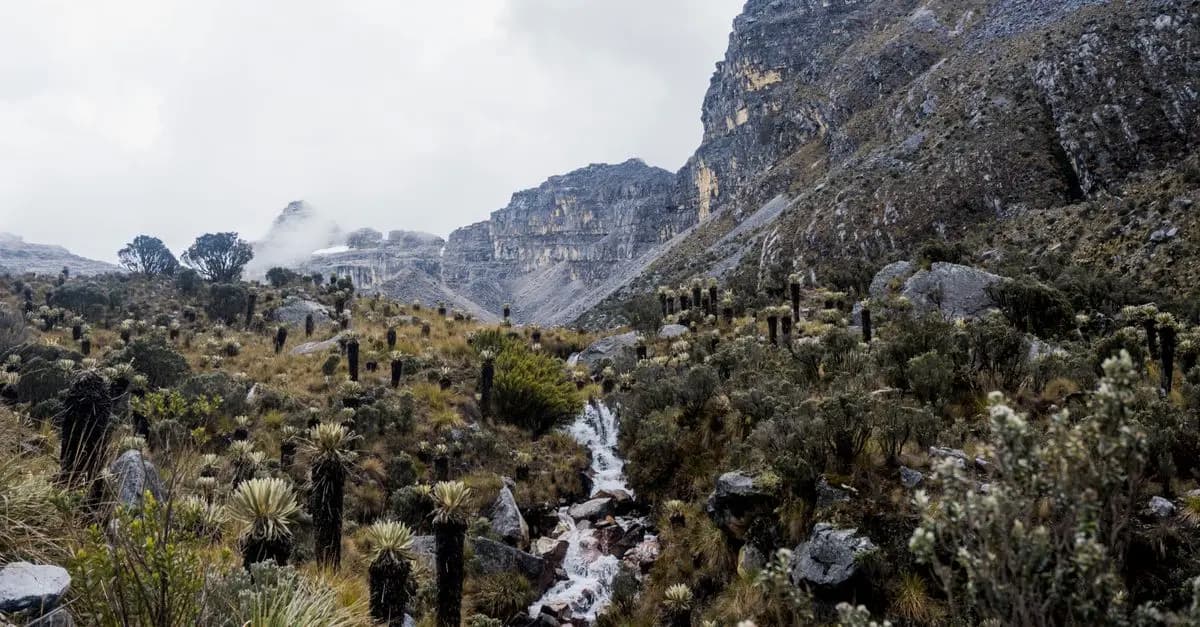 Les Meilleurs Parcs Nationaux pour une Aventure Durable