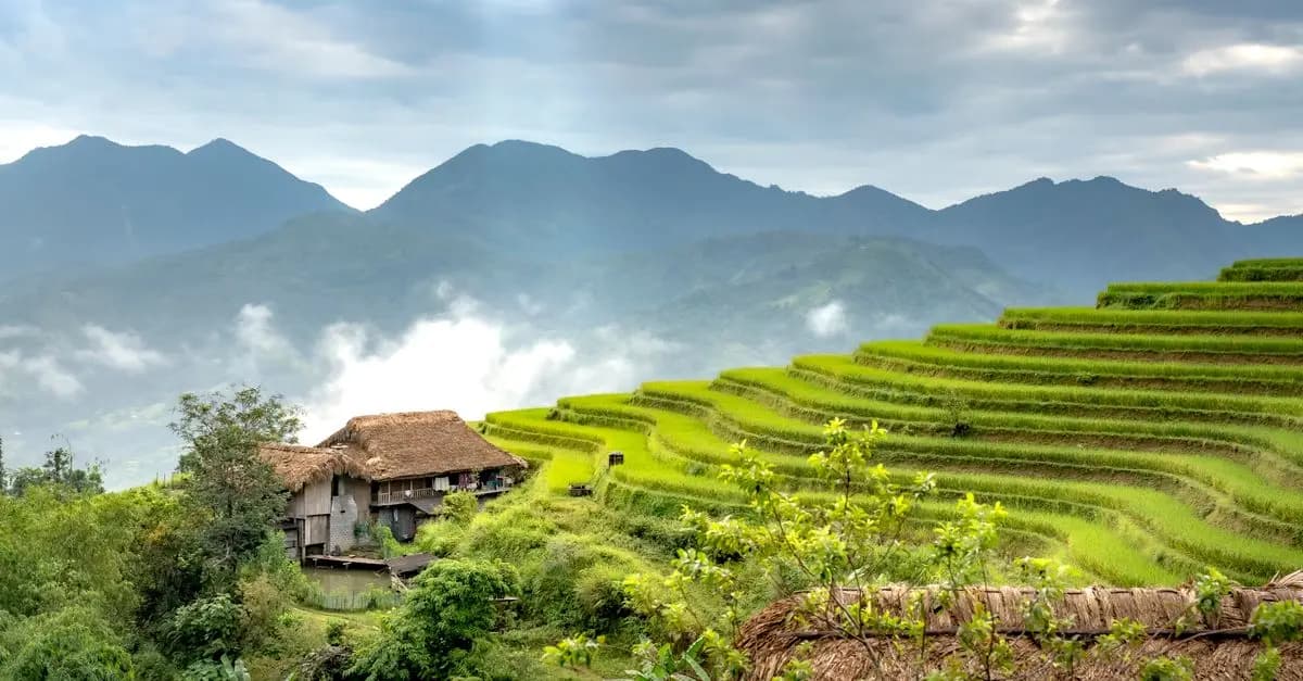 Comment Planifier un Voyage Écologique en Éco-Destination