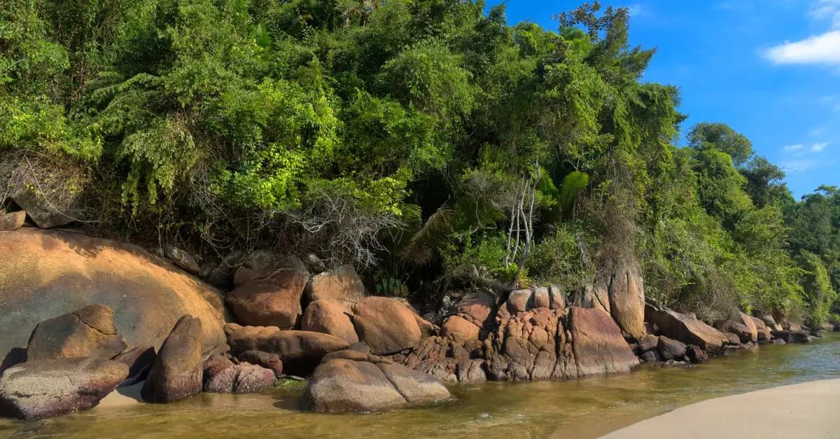 Les Éco-Destinations Les Plus Inspirantes à Explorer