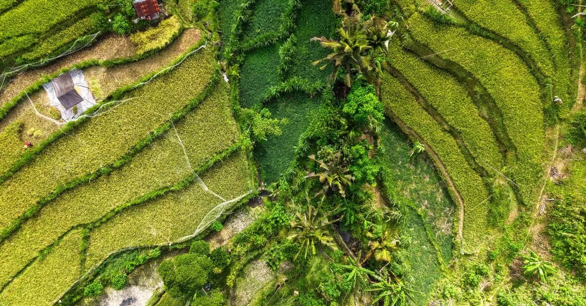 Les Meilleures Éco-Destinations en France à Explorer