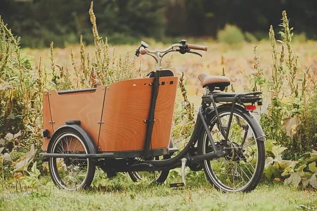 Comment Évaluer l'Impact Écologique d'une Éco-Destination