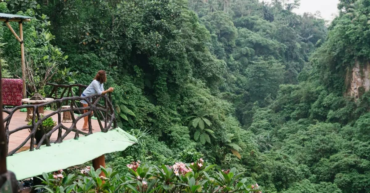 Comment Voyager Écologiquement : Guide Complet