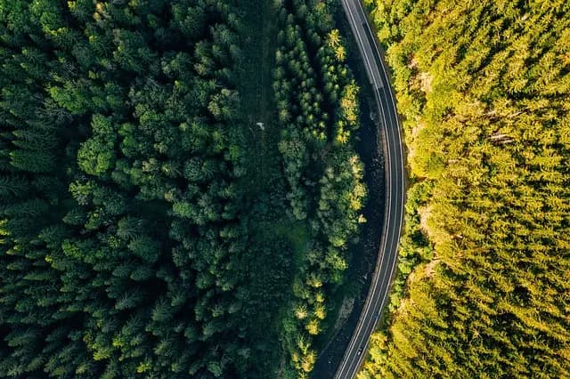 Les Éco-Destinations Inattendues à Explorer