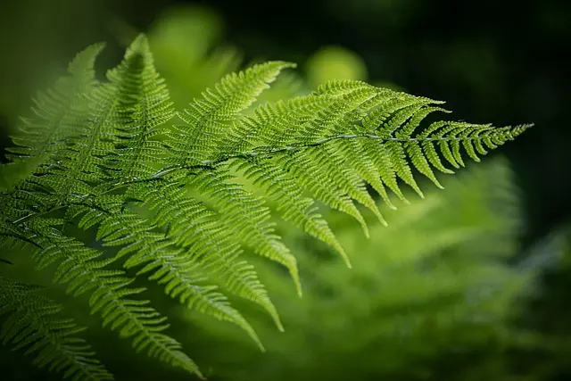 Les Meilleures Éco-Destinations pour Voyager Écologiquement