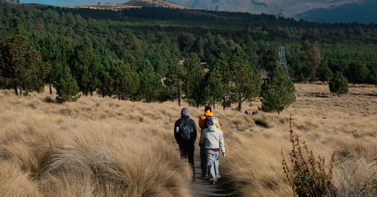 Les Meilleures Éco-Destinations à Explorer en Famille