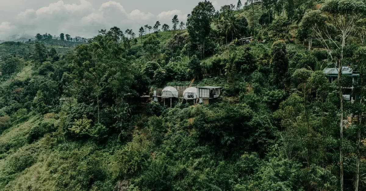 10 Éco-Destinations Incontournables à Explorer
