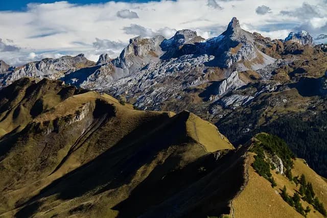 Les Meilleures Activités Écologiques à Tester dans les Éco-Destinations