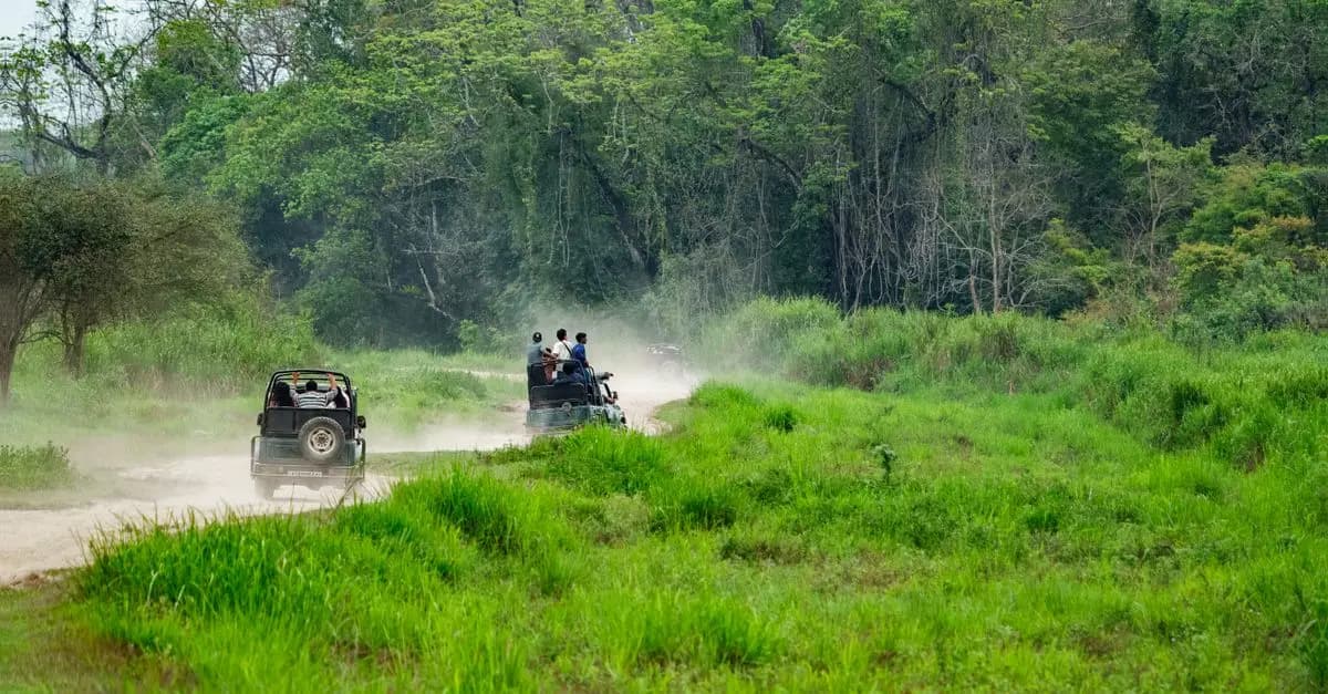 Les Éco-Destinations Ecologiques à Visiter en Famille
