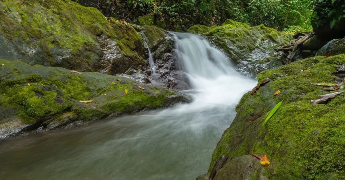 Top 7 des Éco-Destinations Incontournables à Visiter
