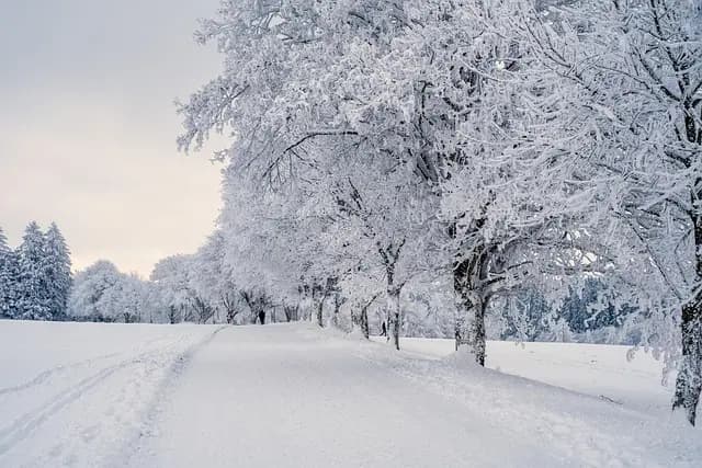 Comment Choisir une Éco-Destination Idéale pour Vos Vacances