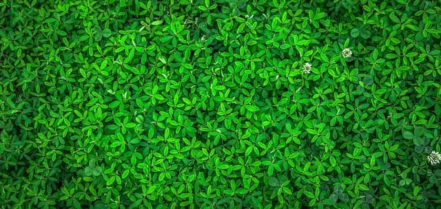 Top 7 des Activités Écologiques à Faire en Éco-Destinations