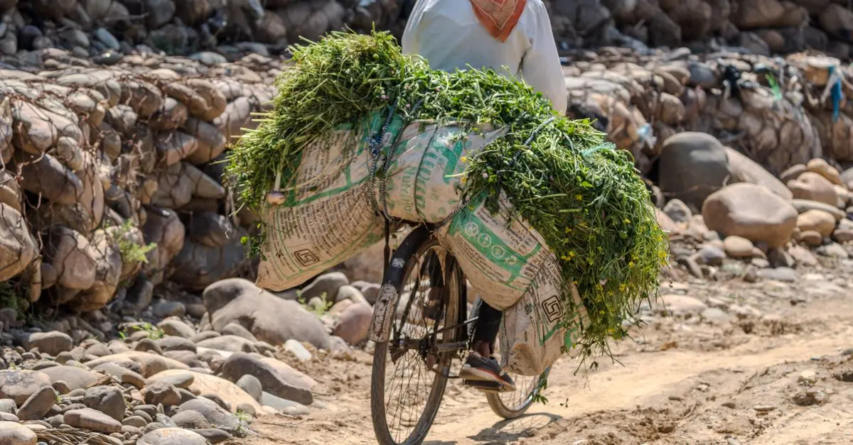 Comment Voyager Écologiquement : 10 Astuces Essentielles