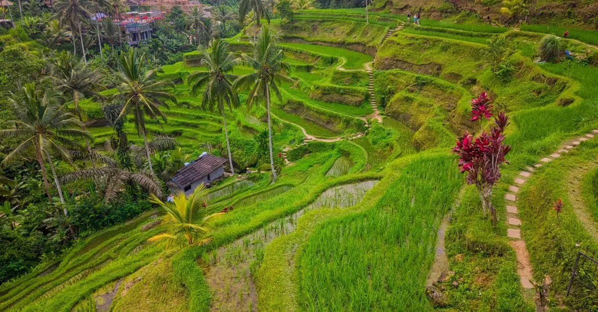 Pourquoi Choisir des Éco-Destinations pour vos Vacances