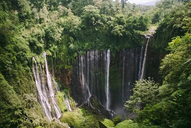 Les Éco-Destinations à Explorer : Conseils et Inspirations