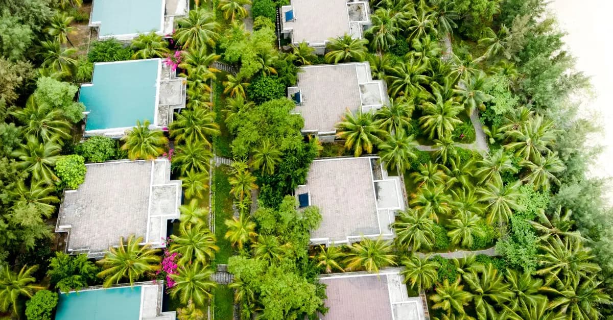 Les Tendances de l'Écotourisme à Suivre en 2026