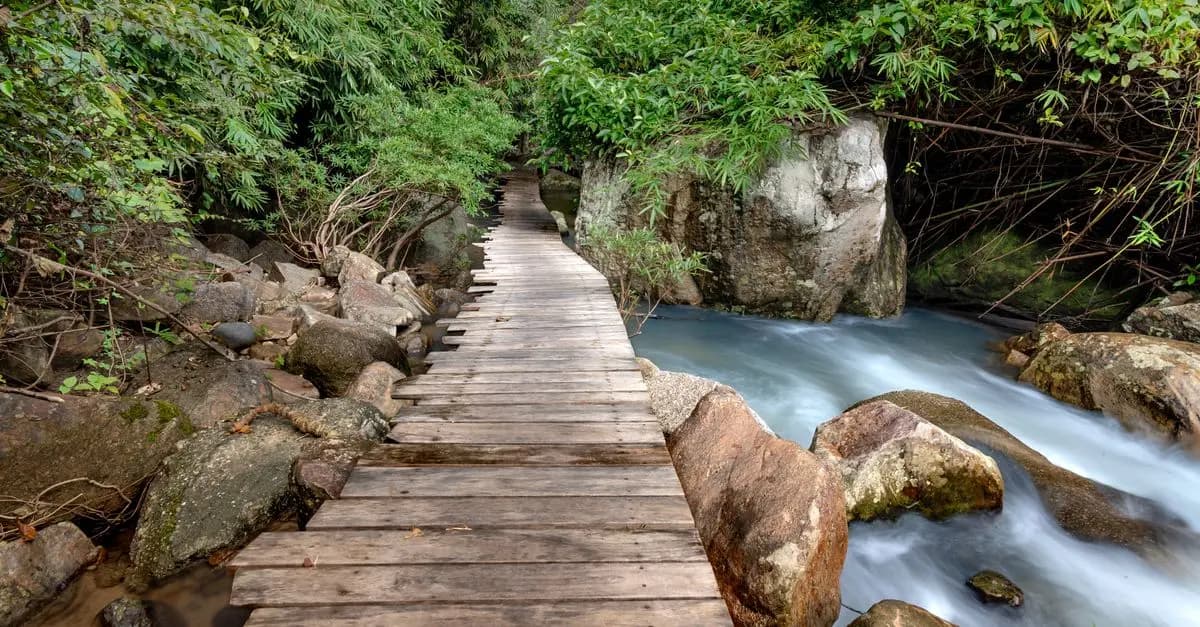 Top 7 des Éco-Destinations Incontournables à Visiter