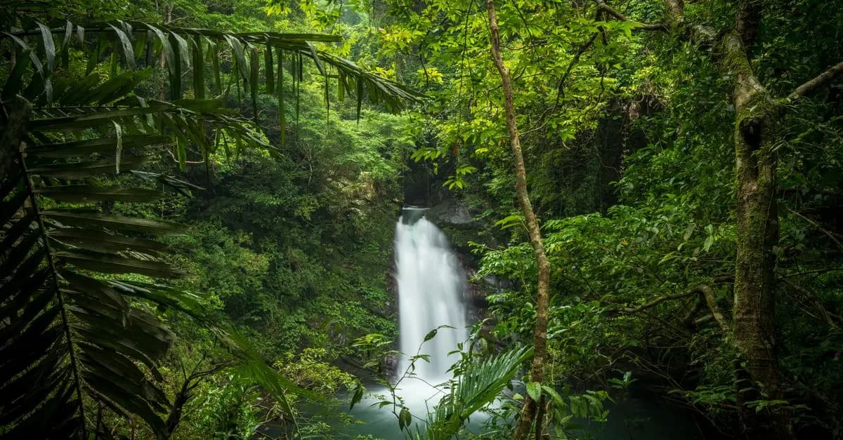 Top 10 des Éco-Destinations à Explorer pour un Voyage Durable