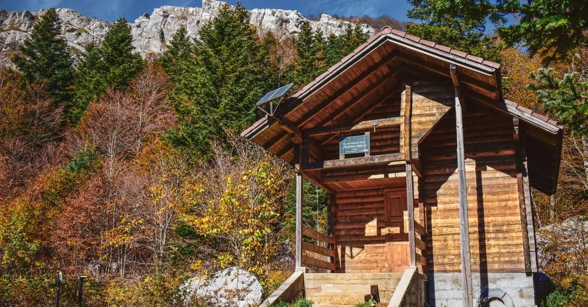 Les Meilleurs Éco-Lodges à Essayer pour un Séjour Durable