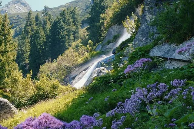 Les Éco-Destinations à Explorer pour un Voyage Durable