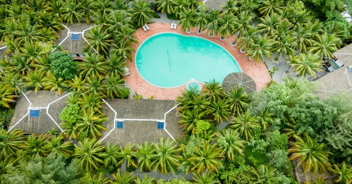 Comment Choisir Votre Éco-Destination Idéale pour Vos Vacances