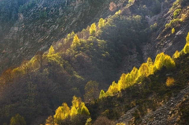 Les Éco-Destinations à Explorer : Guide Pratique pour Voyager Écologiquement