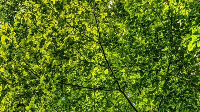 Éco-Destinations Inspirantes à Découvrir pour Voyager Responsable