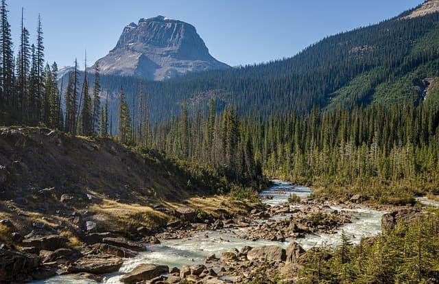 Les Meilleures Éco-Destinations en 2026 à Explorer